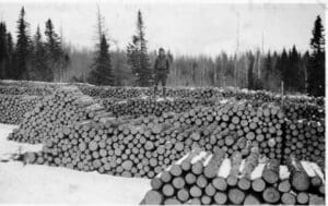 A black and white photograph of a man in winter work clothes standing on one of 5 long rows of stacked logs.