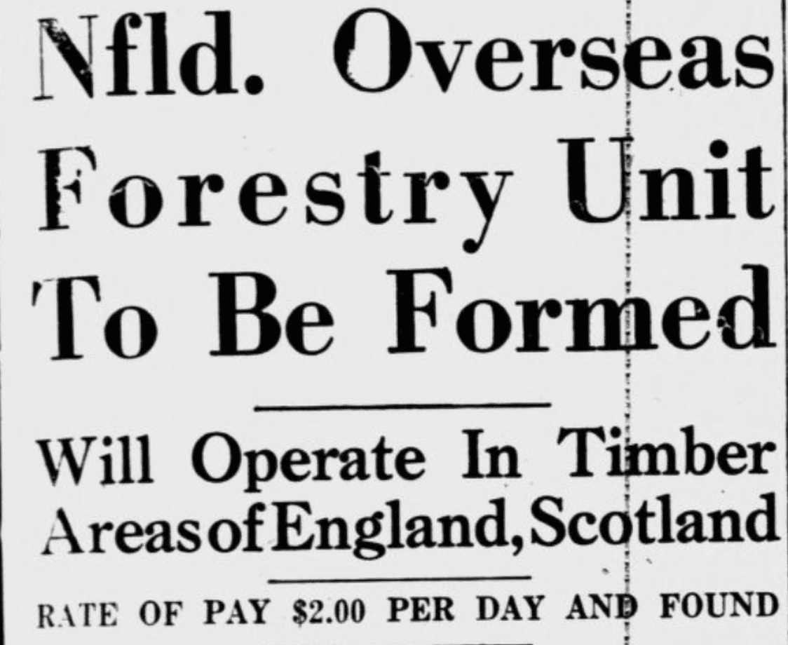 Three levels of newspaper headlines announce the formation of the N O F U, where it will operate, and what its men will be paid. Nfld. Overseas Forestry Unit To Be Formed / Will Operate In Timber Areas of England, Scotland / RATE OF PAY $2.00 PER DAY AND FOUND