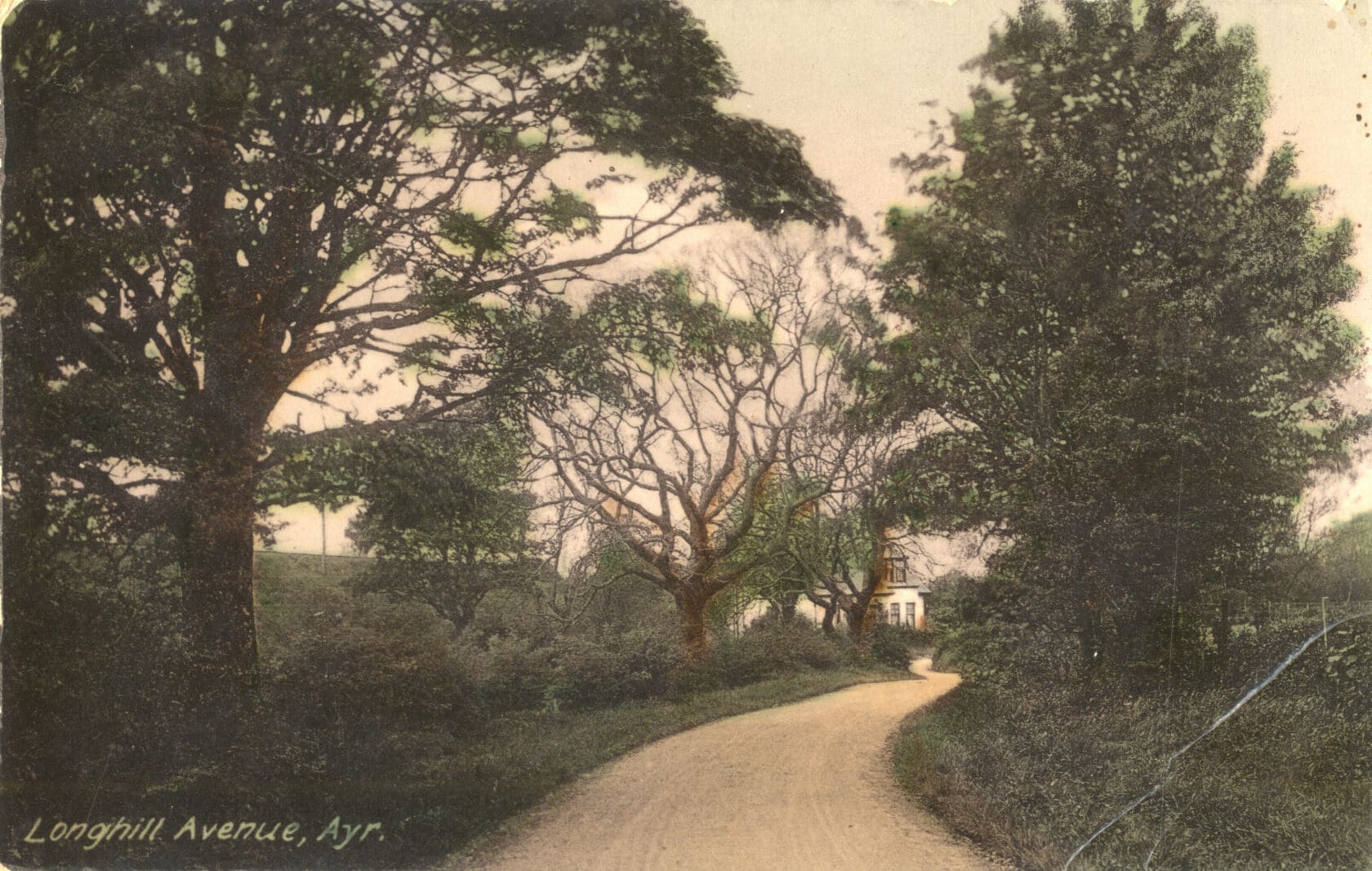 A colorized photograph of a dirt road weaving between shrubs and large deciduous trees, leading to a barely discernible building.