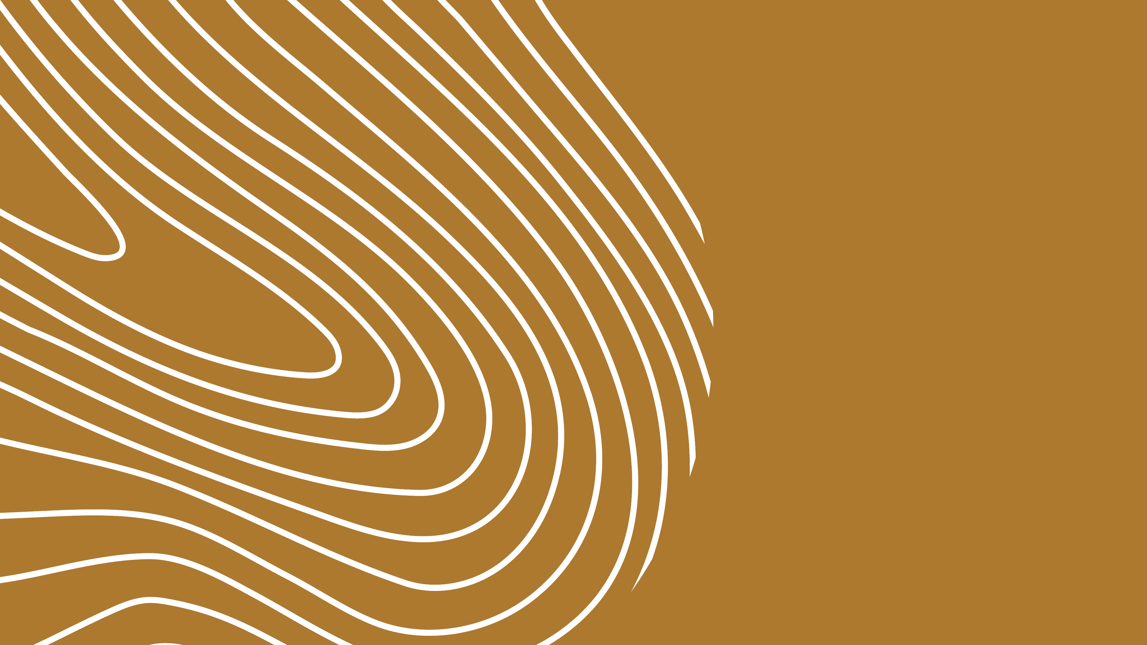 Wood grain texture (decorative element)