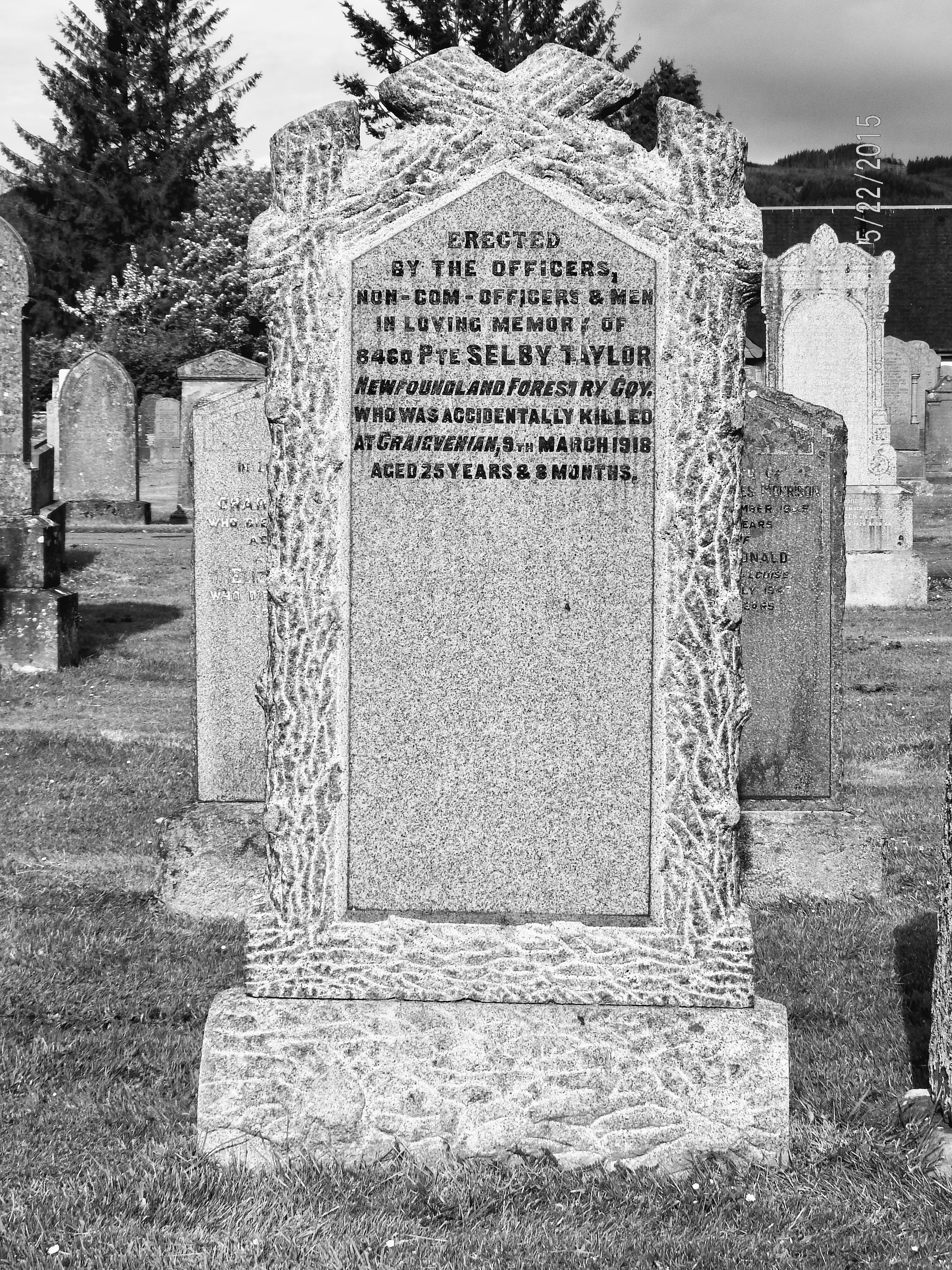 A black and white photograph of a graveyard headstone. Logs carved from the stone frame text mentioning Private Selby and the NFC. In the background are more gravestones and a stand of trees.
