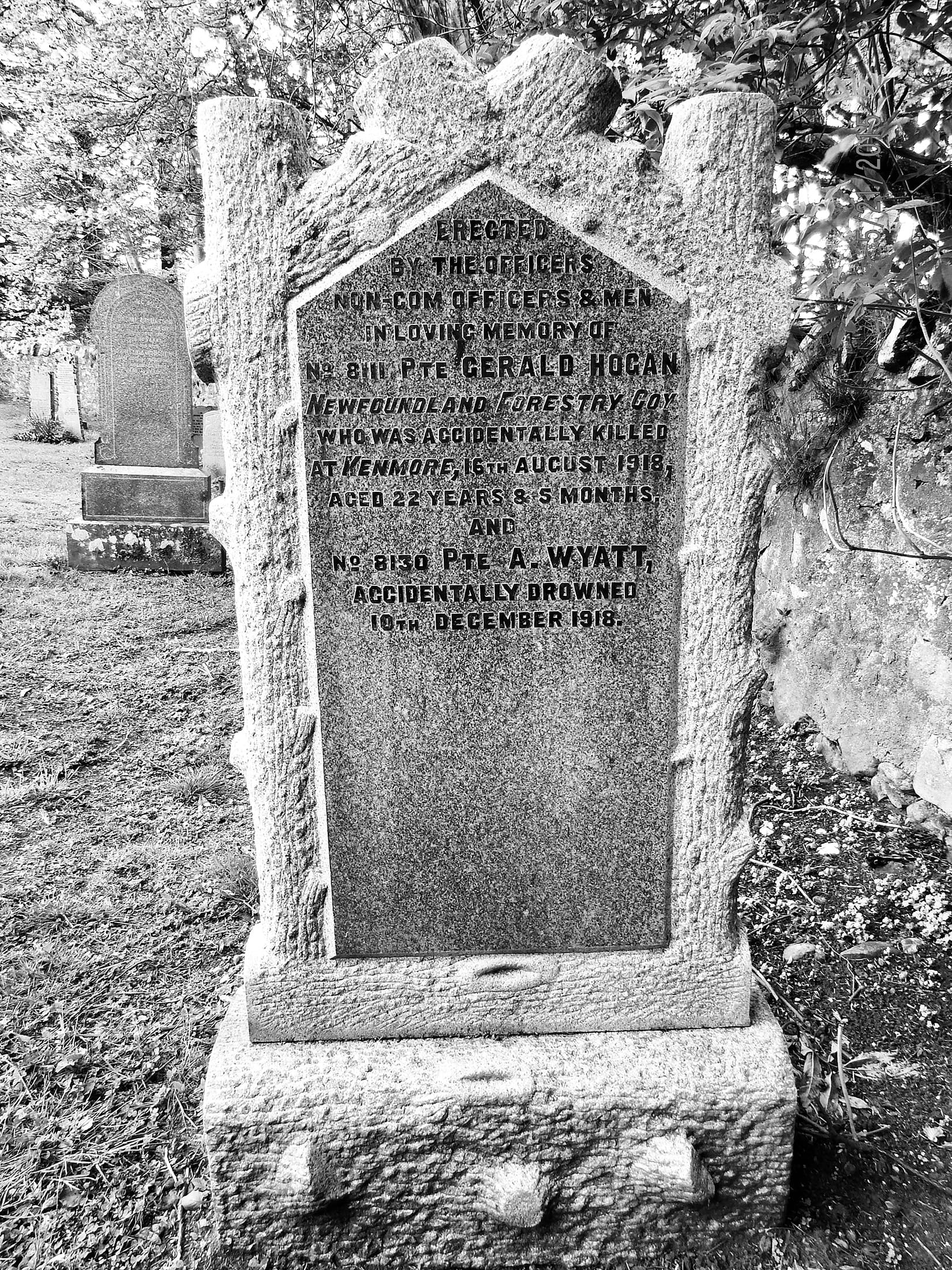 A black and white photograph of a headstone in a graveyard. Logs carved from the stone frame the text area. The inscription reads: Erected by the officers, non-com officers and men in loving memory of No. 8111, Private Gerald Hogan, Newfoundland Forestry Company, who was accidentally killed at Kenmore, 16th August 1918, aged 22 years and five months, and No. 8130 Private A. Wyatt, Accidentally drowned, 10th December 1918.