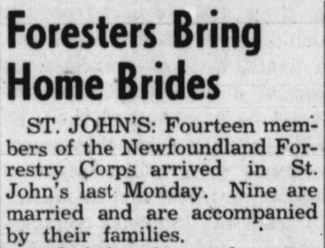 The headline and first paragraph of a newspaper article about 14 members of the Newfoundland Forestry Corps arriving in St. John’s, nine of them married and accompanied by their families.