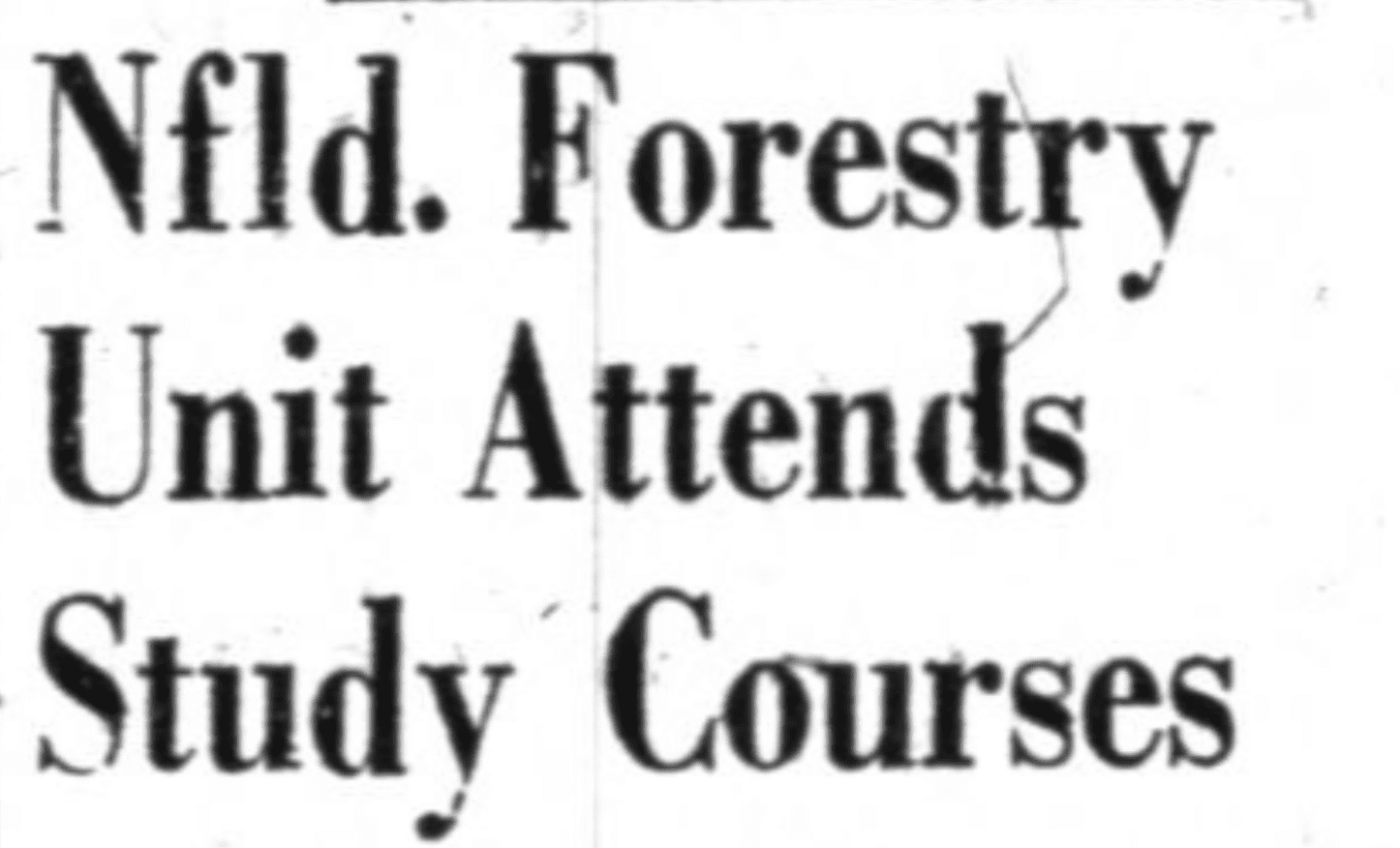 A large newspaper headline reads Newfoundland Forestry Unit Attends Study Courses.