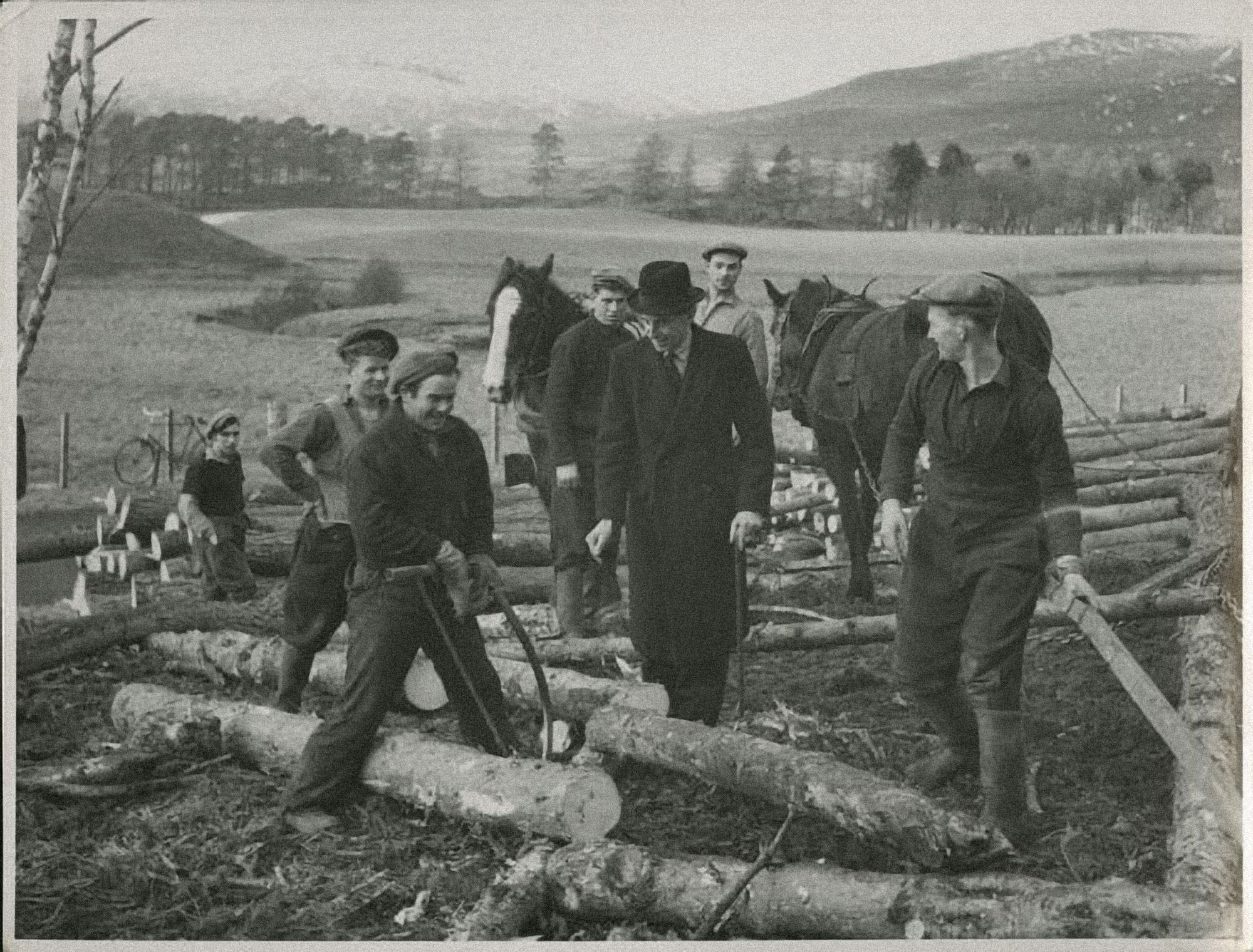 A black and white photograph of three loggers standing over some felled logs while a man in a dark overcoat looks on. Two men in the background ready a couple of work horses in harnesses.